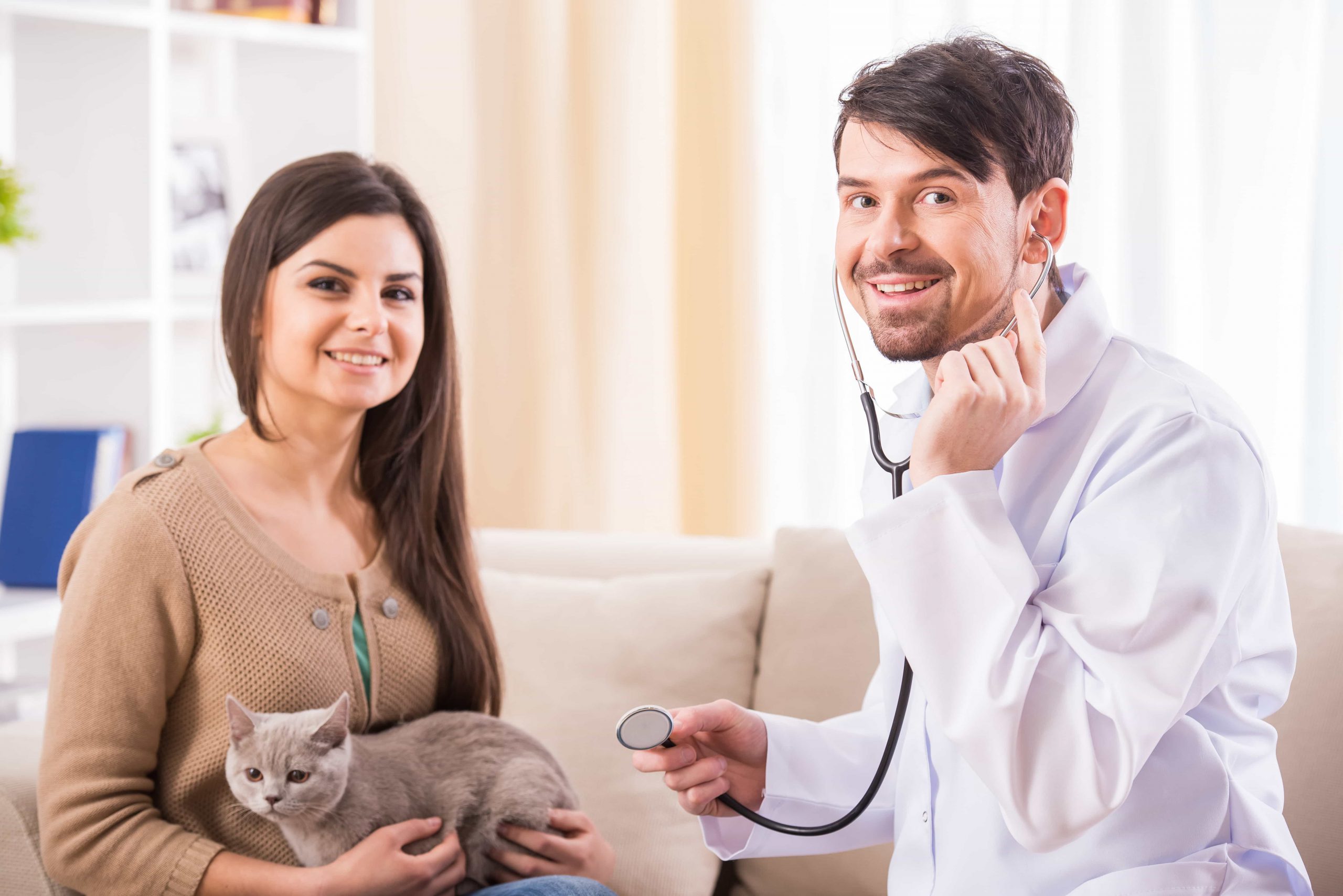 Emergencies small pets